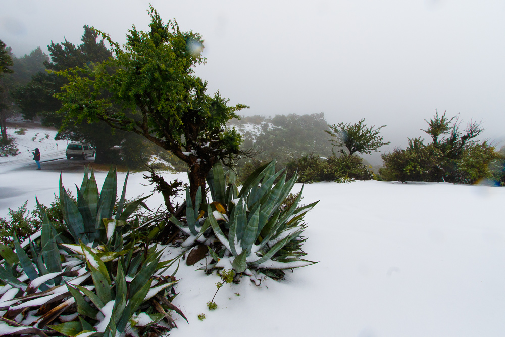 Snow in Gran Canaria in 2016