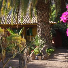 molino_de_agua_fataga-019