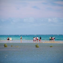 maspalomas_dunes_and_beach_-_febr_2011_-007