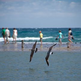 maspalomas_dunes_and_beach_-_febr_2011_-011
