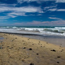 After the storms, febr 2011