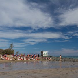 After the storms, febr 2011