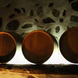 nortetrek-periodistas-alemanes-dia-1--192