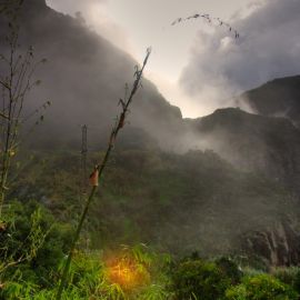 Rainy day impressions