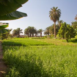 Puerto de las Nieves