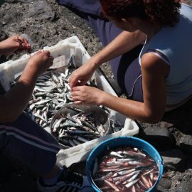 Puerto de las Nieves