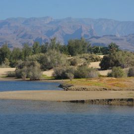 La Charca de Maspalomas