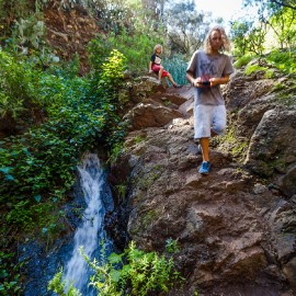 Barranco de los Cernicalos
