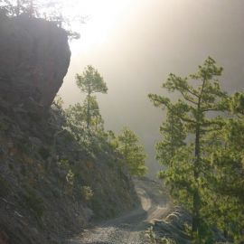 el-sao-ayagaures-070