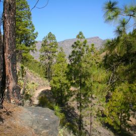 el-sao-ayagaures-073