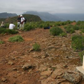 South East with Neophron