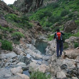 South East with Neophron