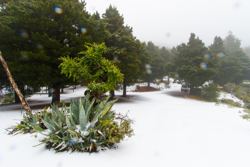 Recent Gran Canaria videos 