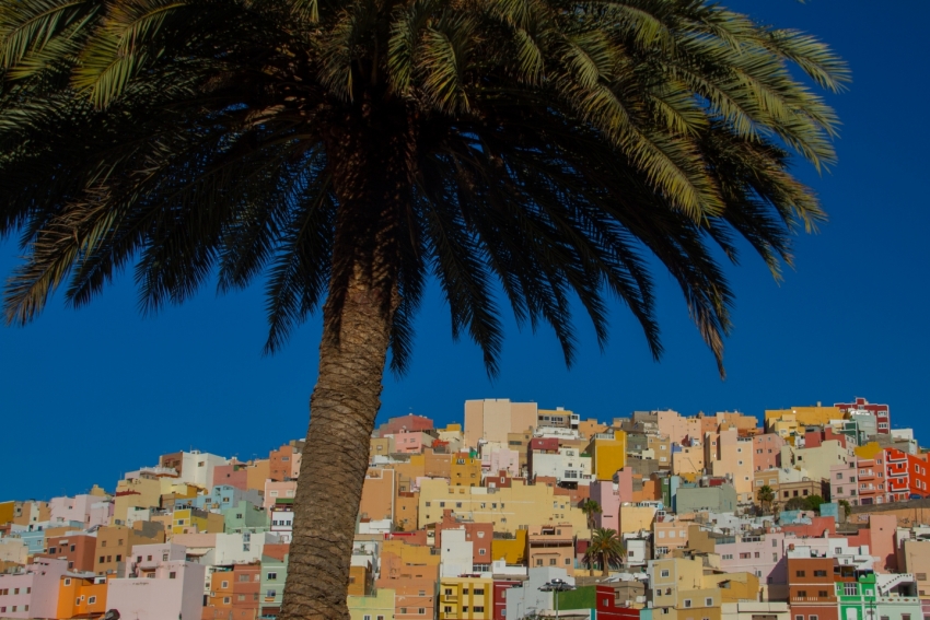 The Spanish Conquistador was born in the shade of Las Palmas&#039; palm trees